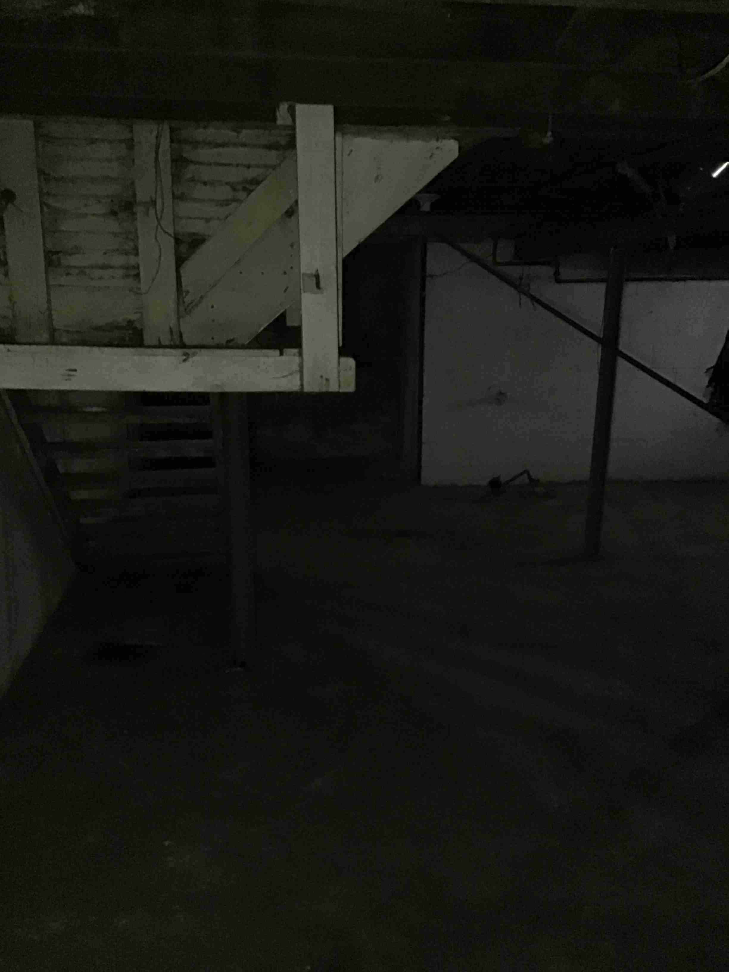 IMG_2021-01-19 17-29-47_34.jpg